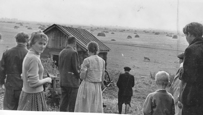 Вид на припьянскую пойму из д. Свирино в 1963 г. Тот, кто бывает здесь ныне,   видит иную картину: пойма заросла ивняком. Вид на Черновское закрыт