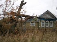 В Б.-Казаринове упавшее дерево повредило крышу дома