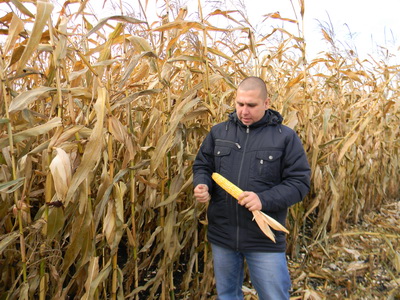 Агроном по защите растений Сергей Александрович Шишков на кукурузном поле. Урожай выращен хороший